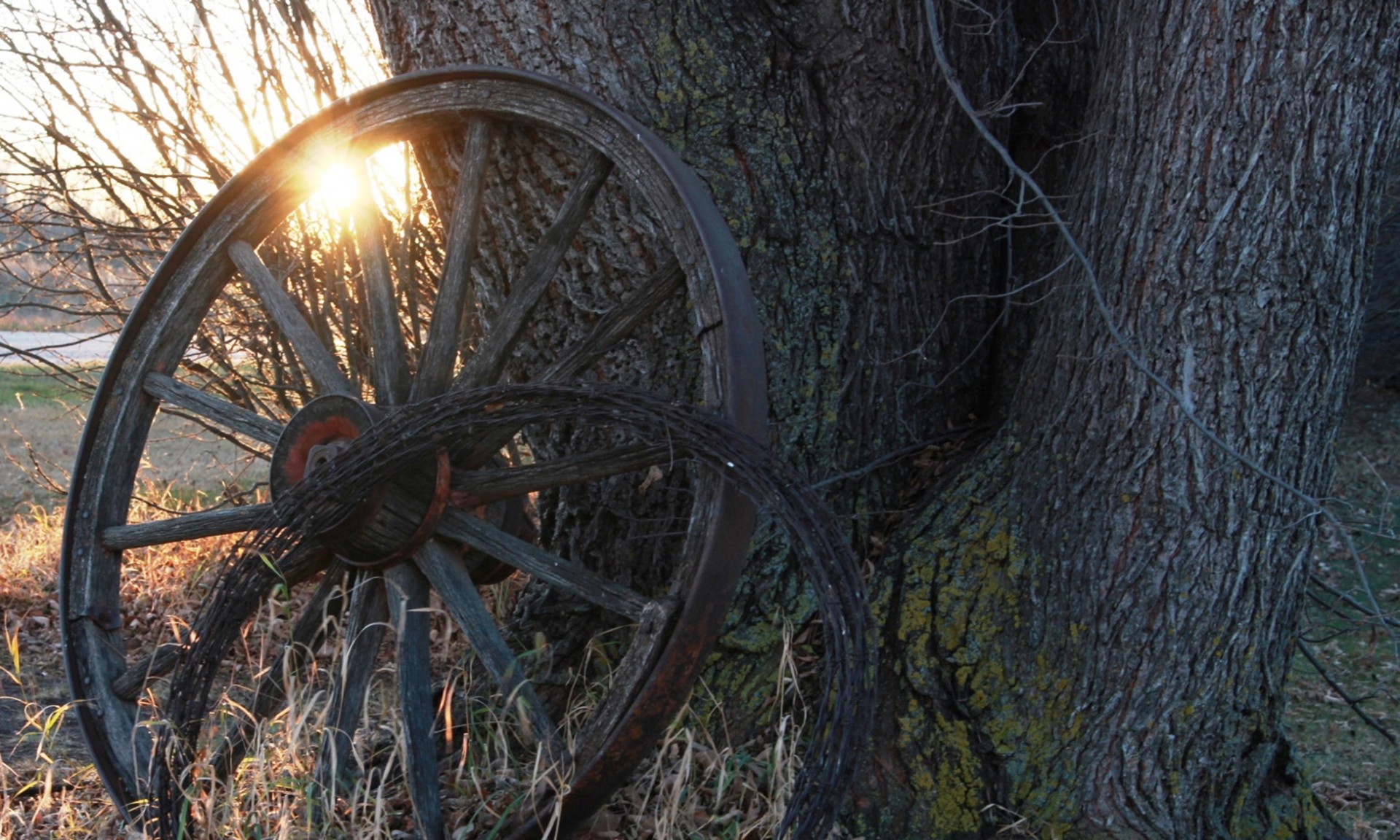 wagon wheel sunset free photo
