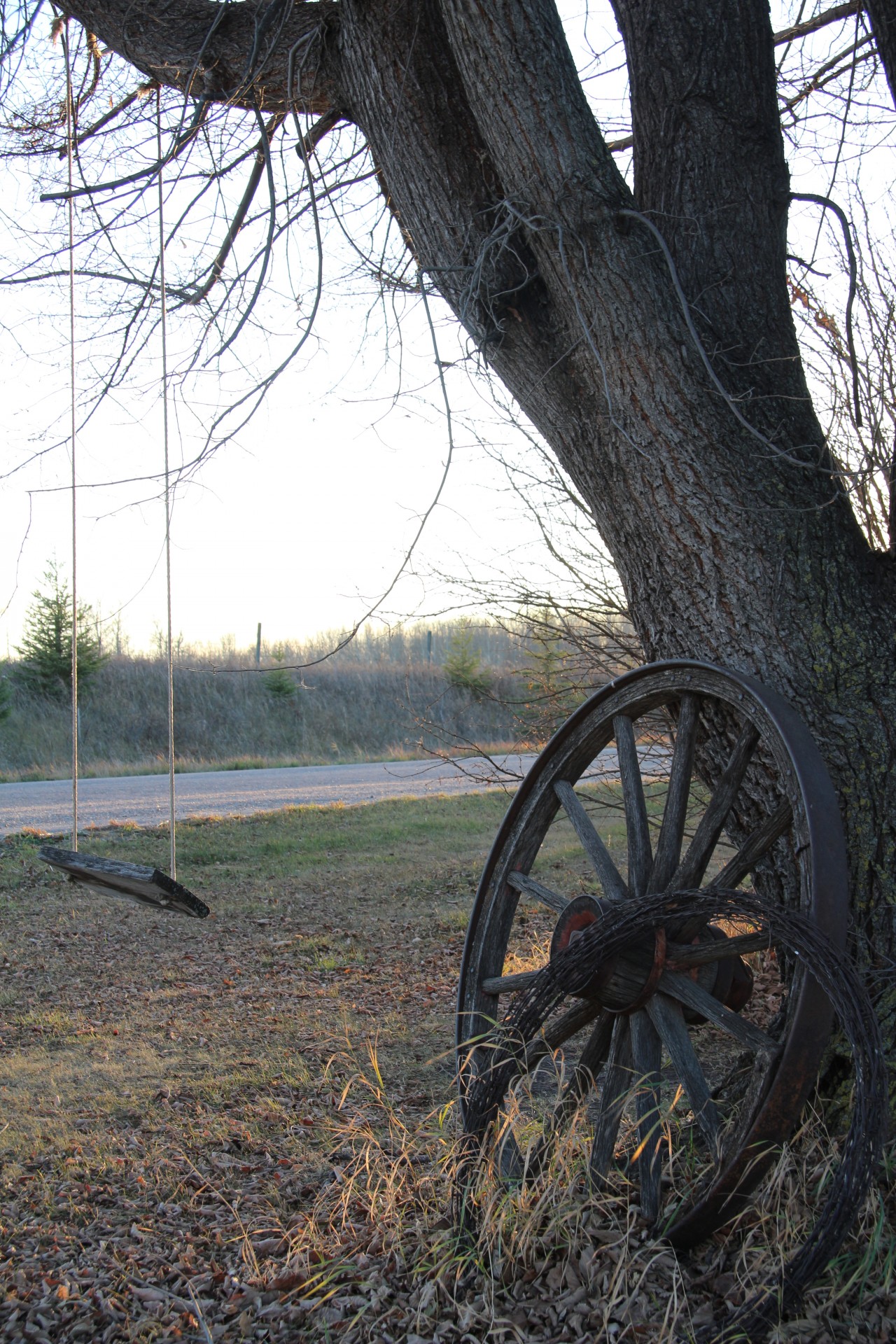 wagon wheel sunset free photo