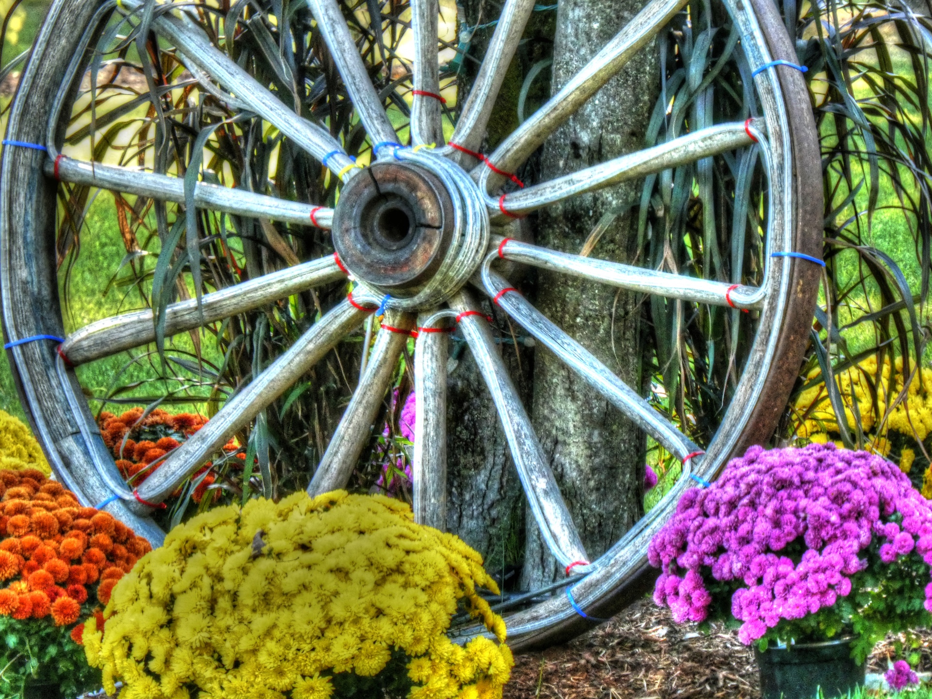 wagon wheel wheel flowers free photo