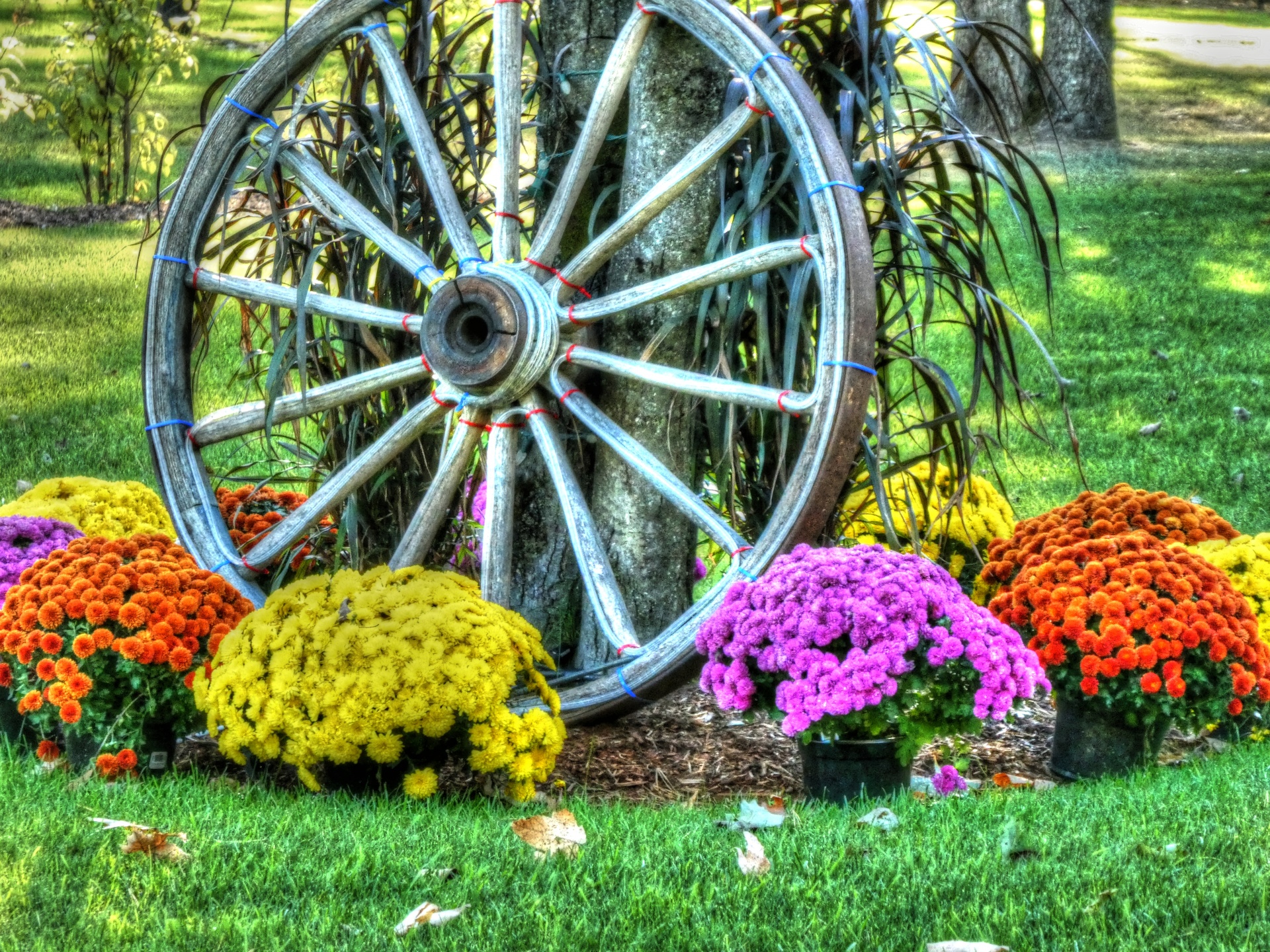 wagon wheel wheel flowers free photo