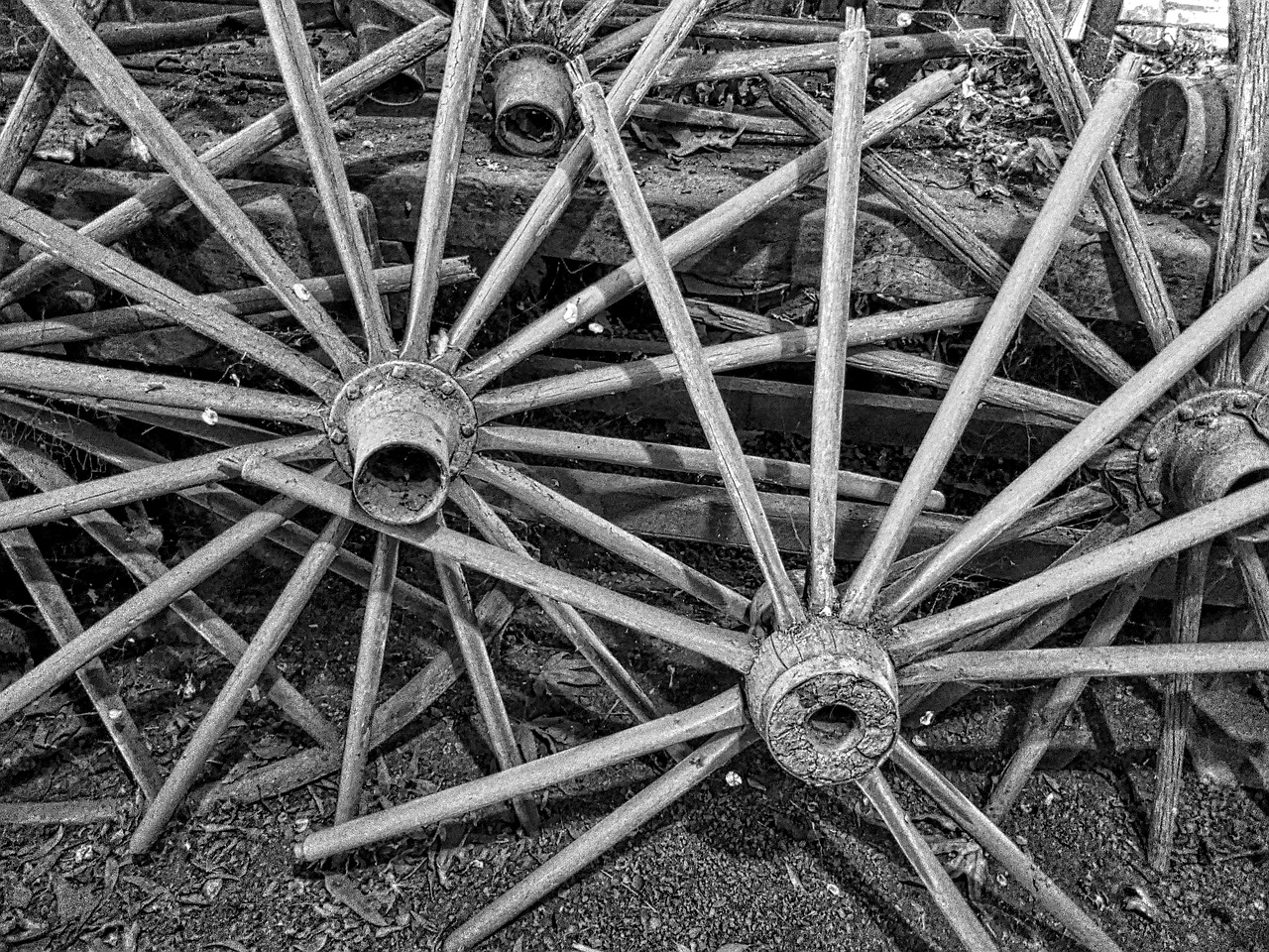 wagon wheels spokes vintage free photo