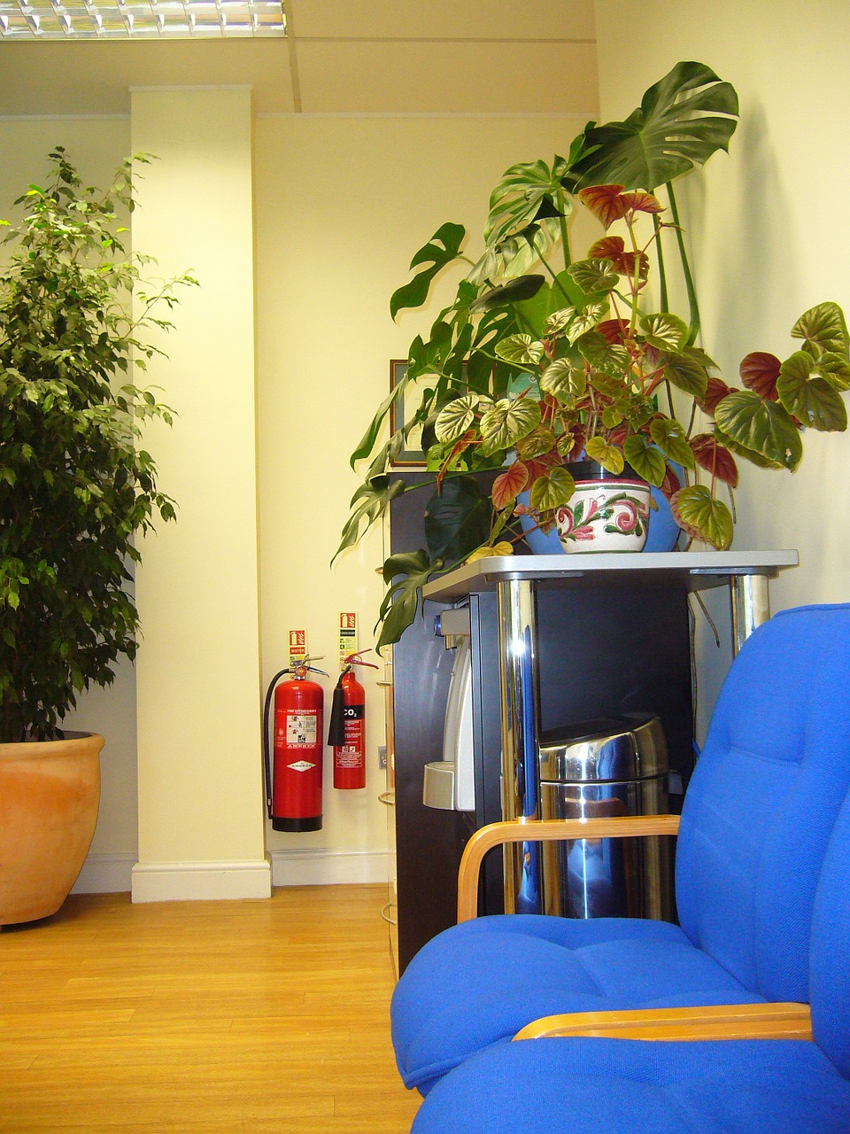waiting area chairs indoor plants free photo