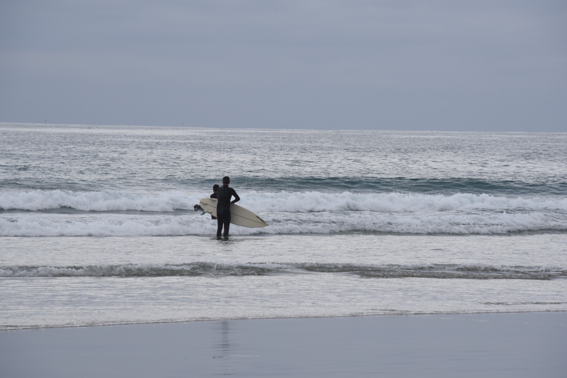 surfer waves ocean free photo