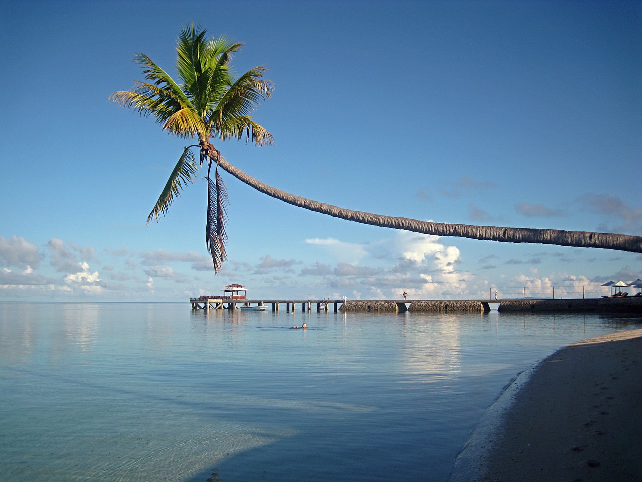 wakatobi sulawesi indonesia free photo