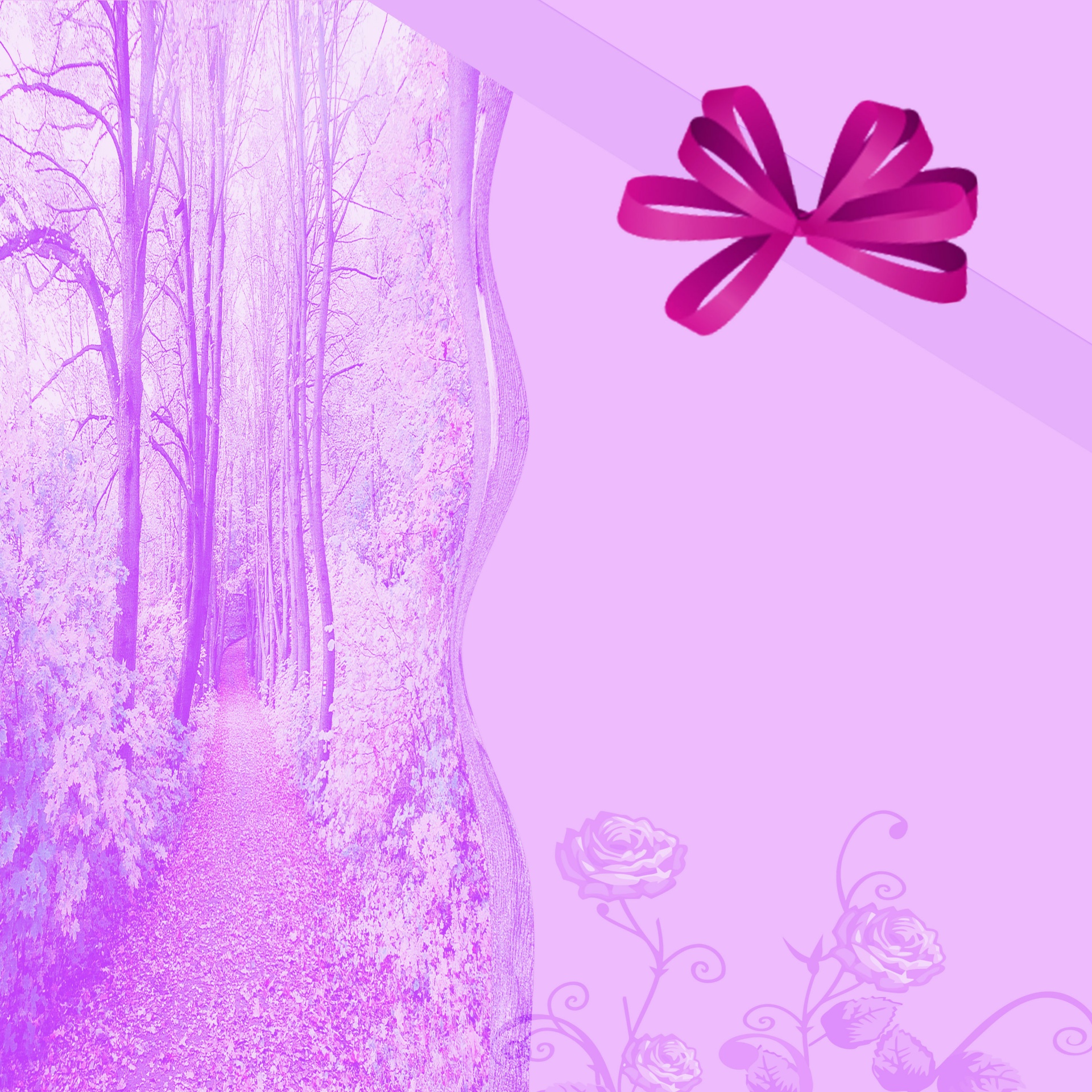 card background bow free photo