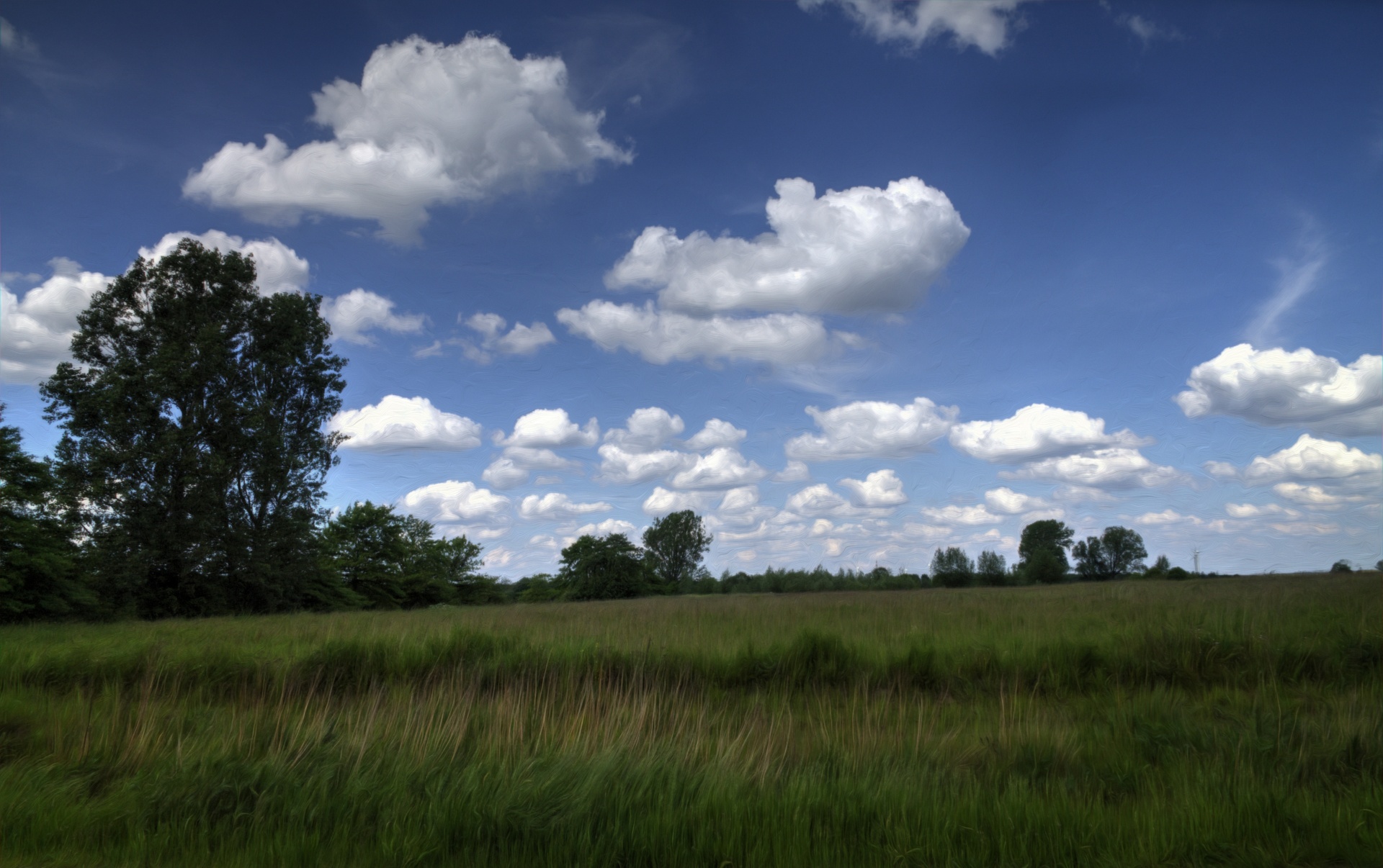 landscape forest nature free photo