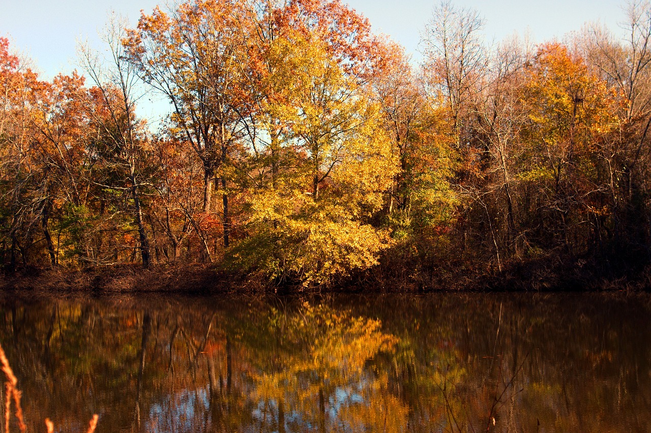 waldon pond  autumn color  leaves free photo