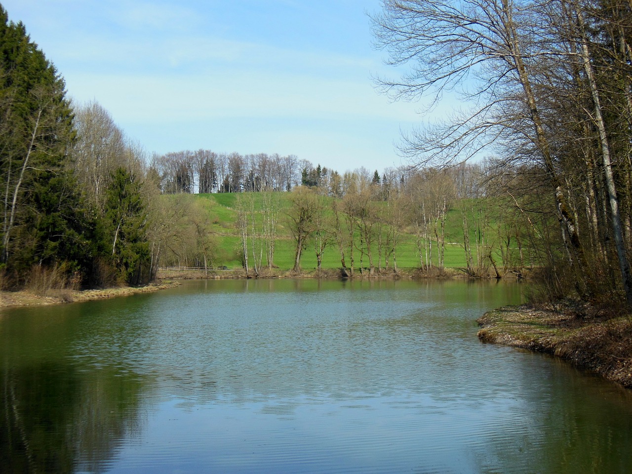 waldsee spring upper bavaria free photo