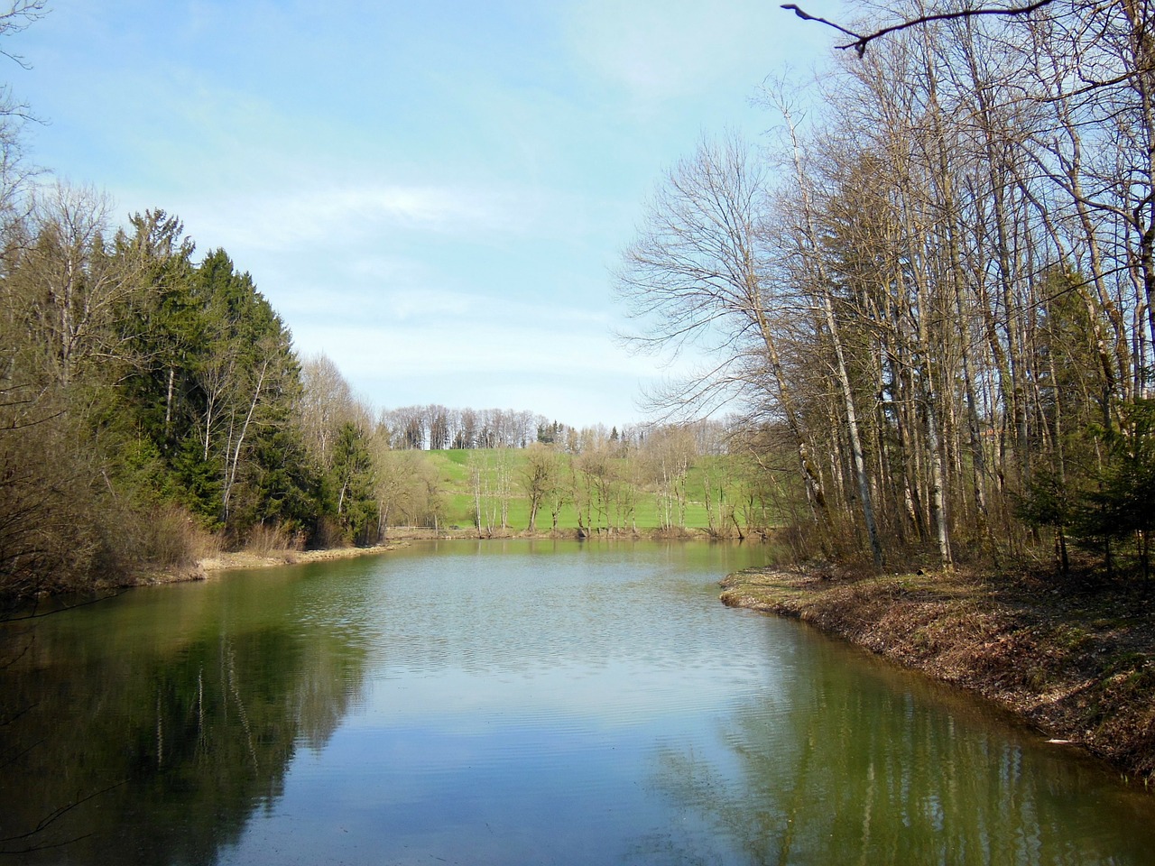 waldsee spring upper bavaria free photo