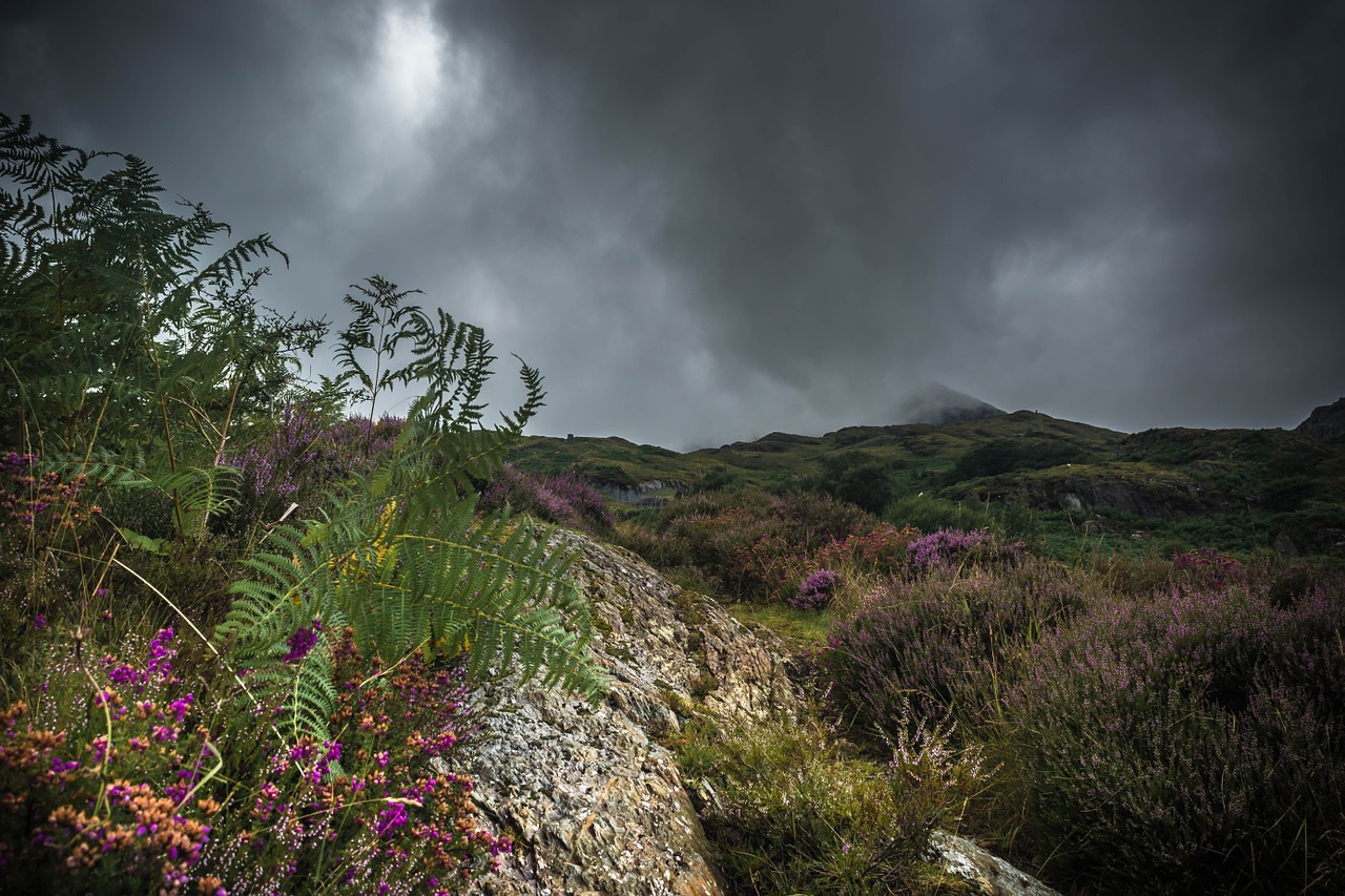 wales landscape nature free photo