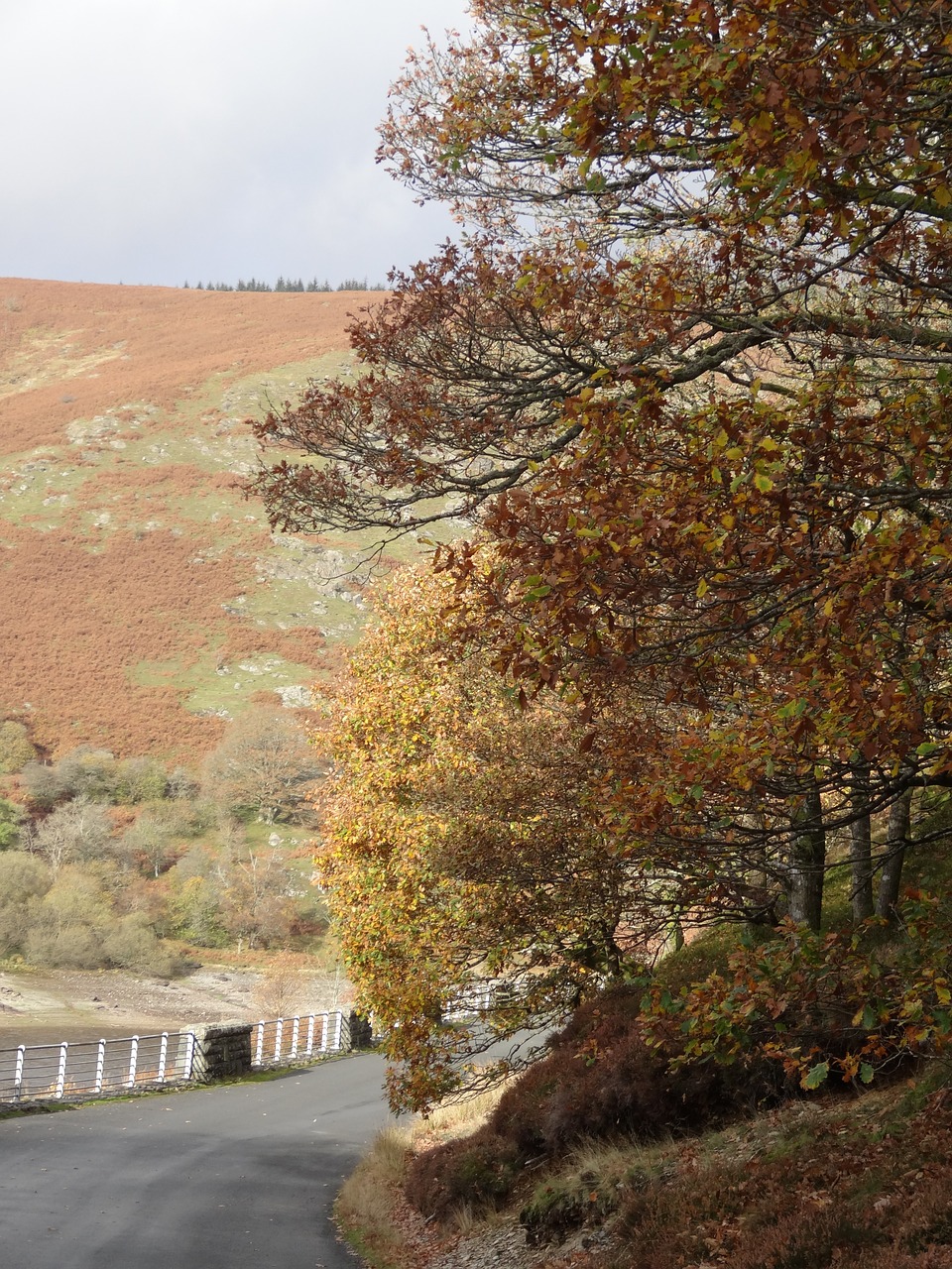 wales autumn fall free photo