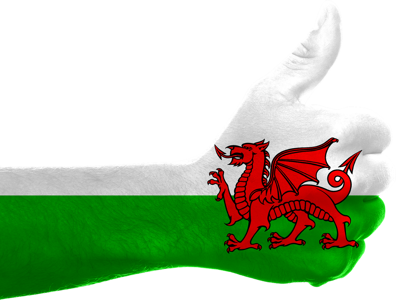 Wales,england,dragon,kingdom,queen - free image from needpix.com