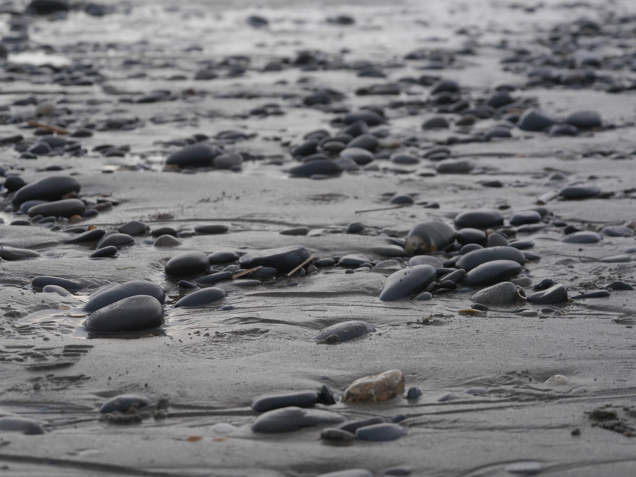 wales beach stones free photo