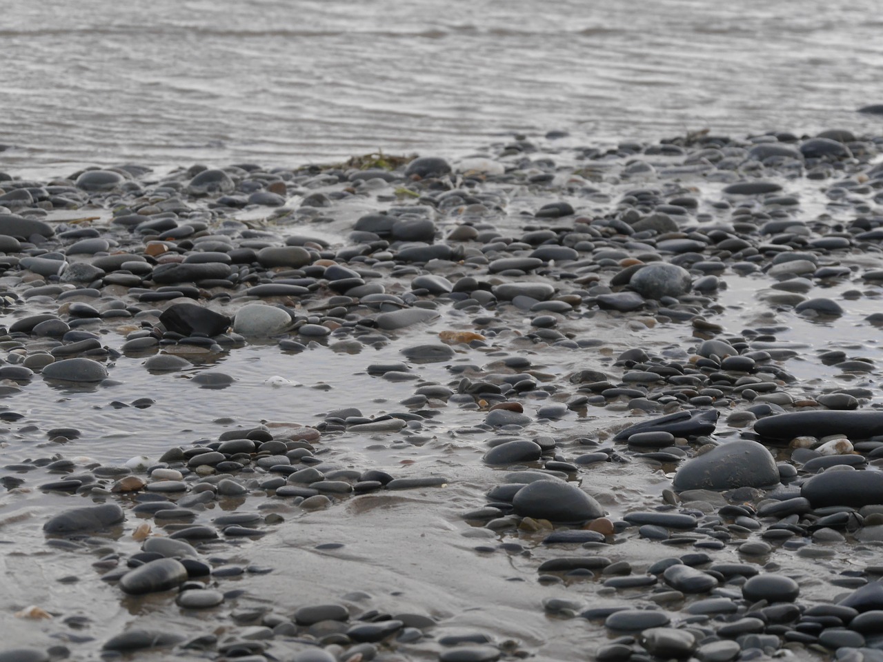 wales beach stones free photo