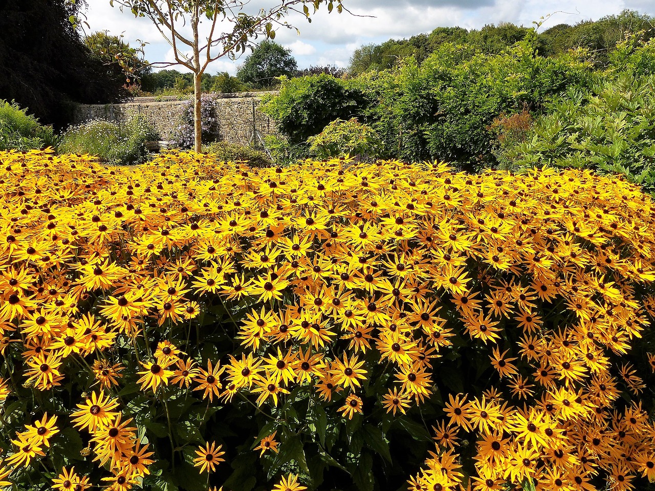 wales garden park free photo