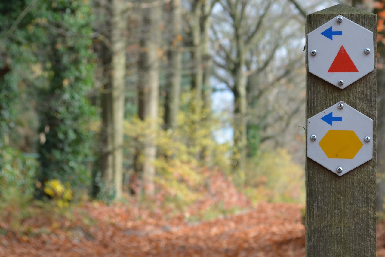 walk walking path arrows free photo