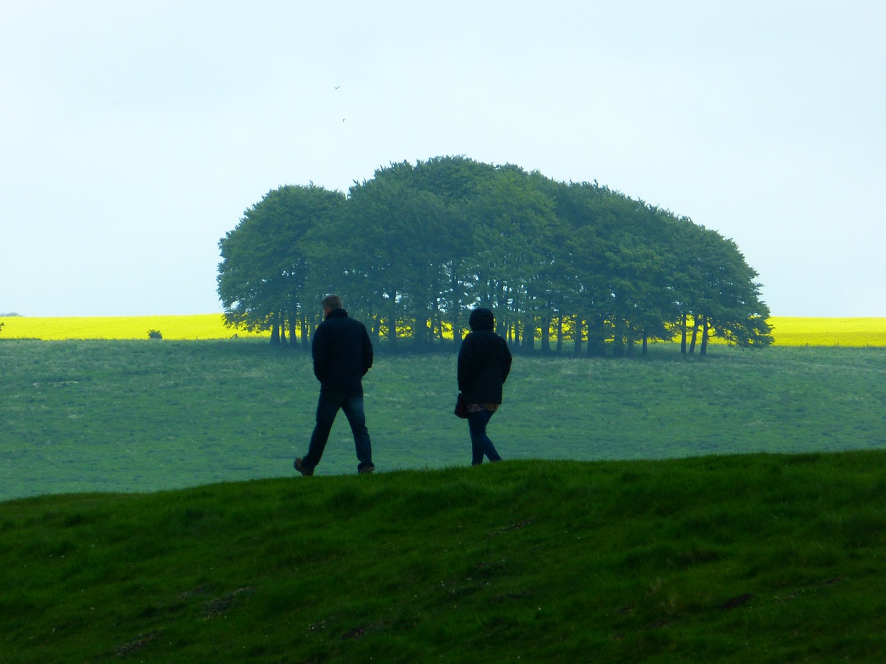 walk landscape relaxation free photo