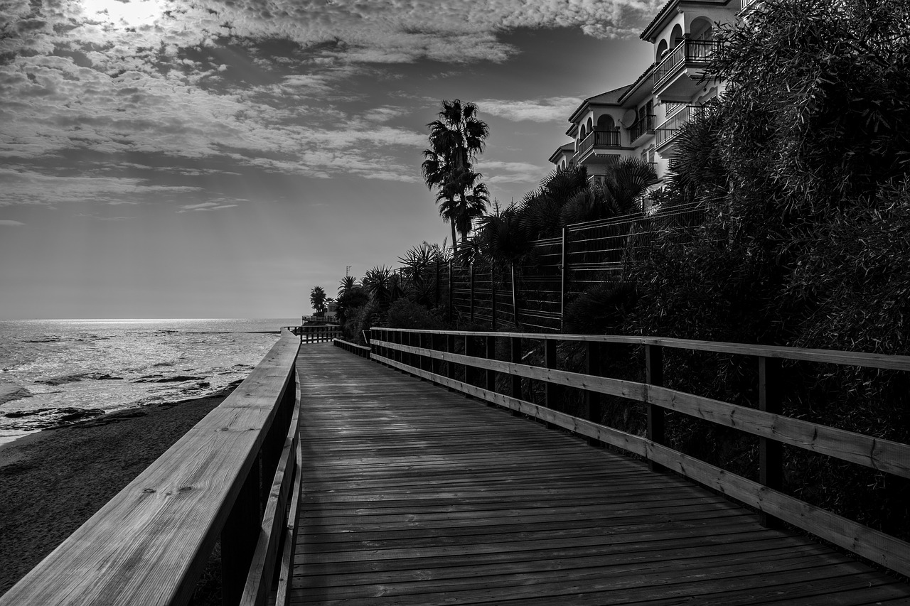 walk black and white bridge free photo