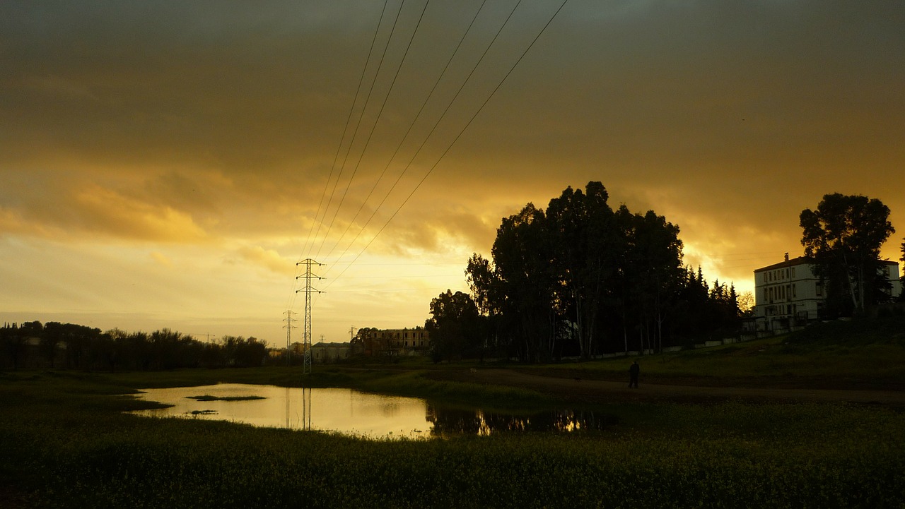 walk landscape puddle free photo