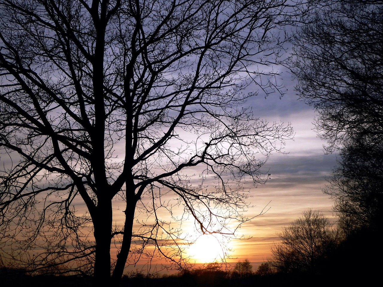 walk abendstimmung sunset free photo