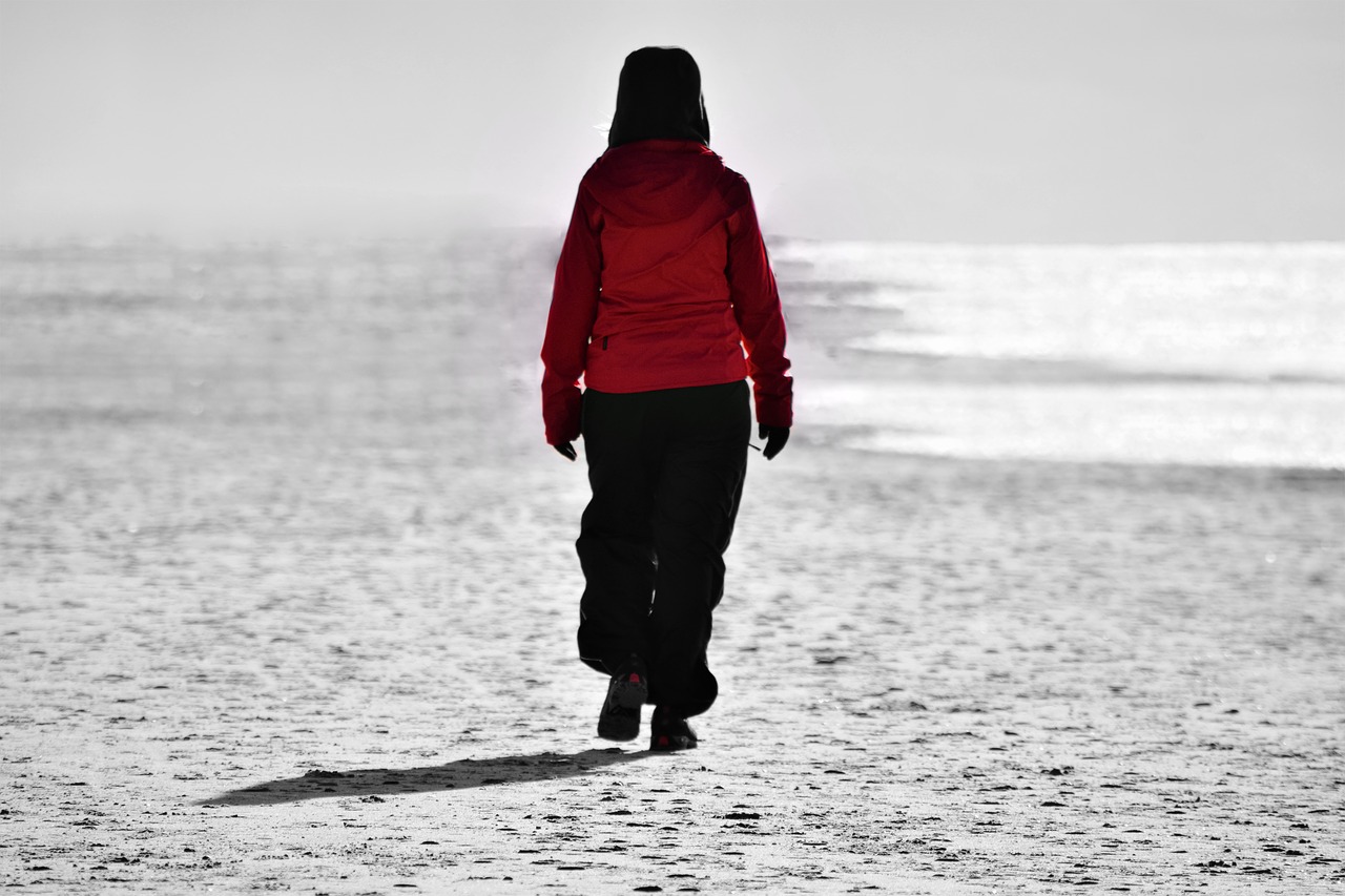 walk north sea coast free photo