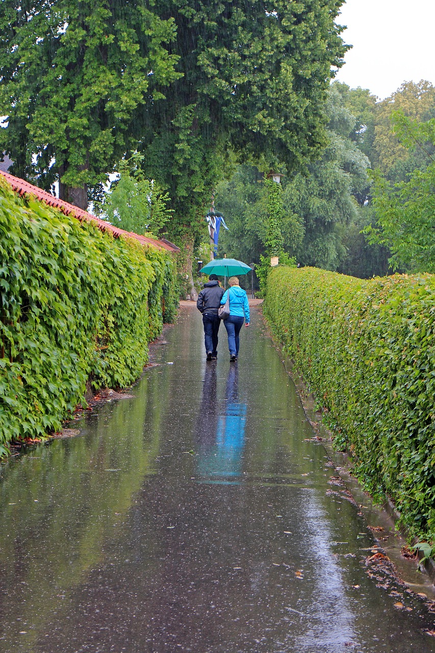 walk rain rained out free photo