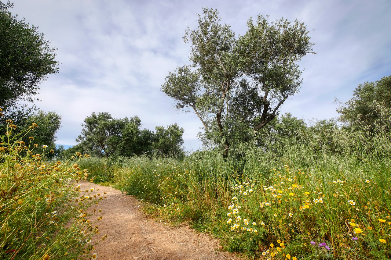 walk  hiking  crete free photo