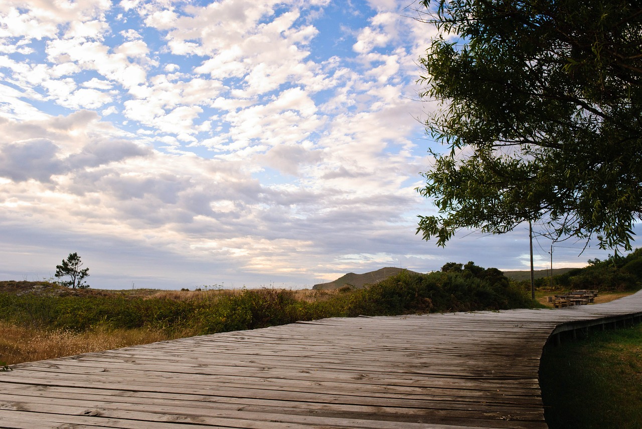 walk path landscape free photo