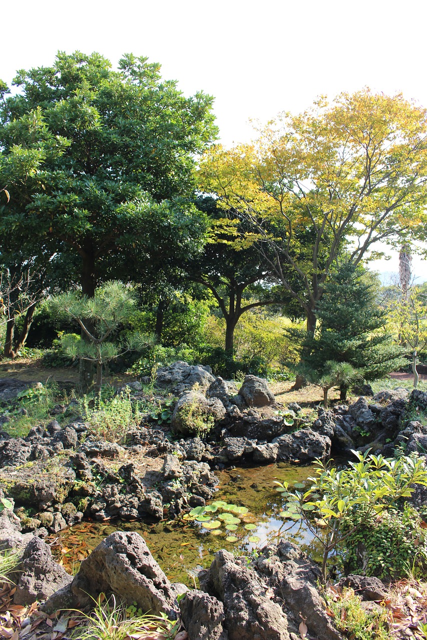 walk garden landscape free photo