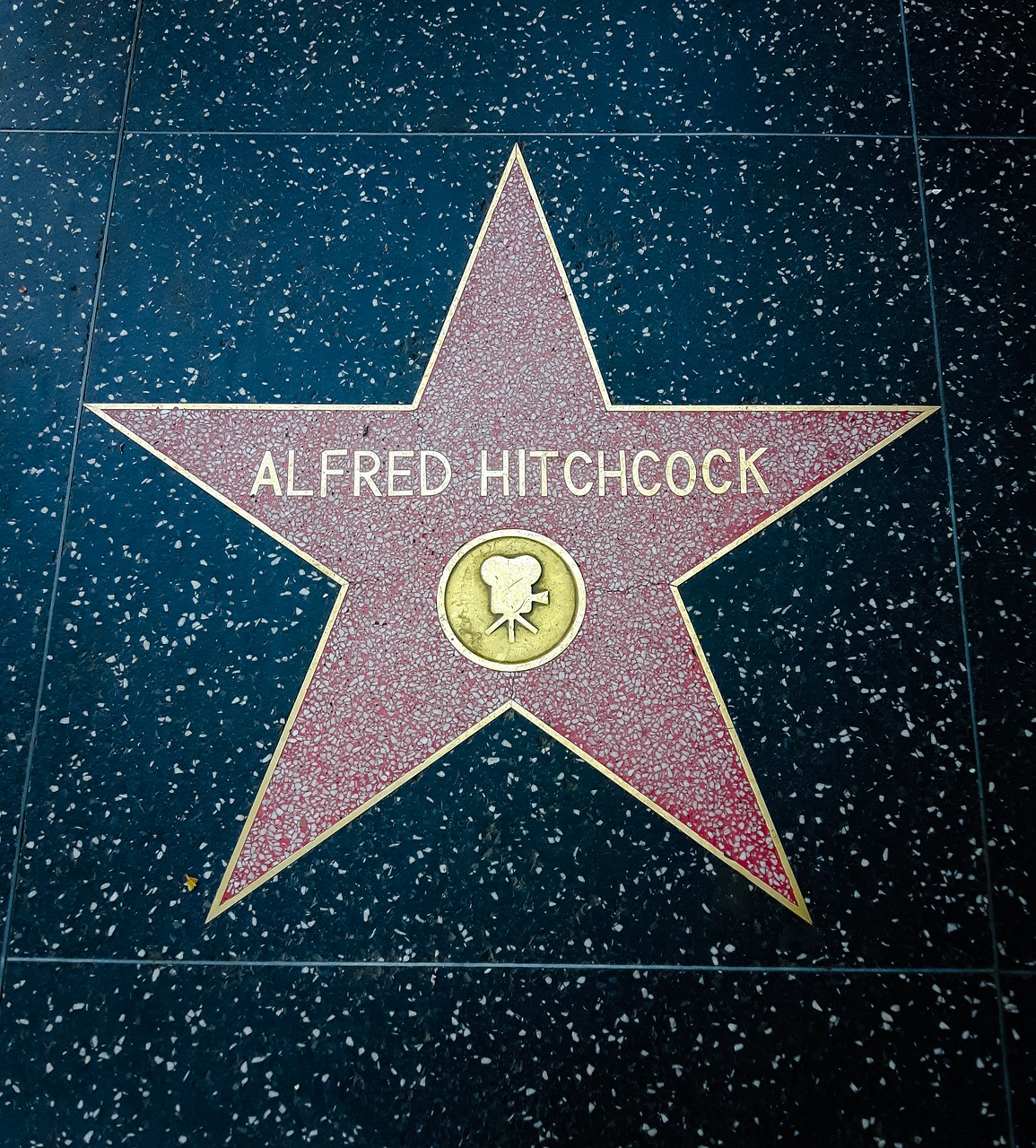 walk of fame los angeles hollywood free photo