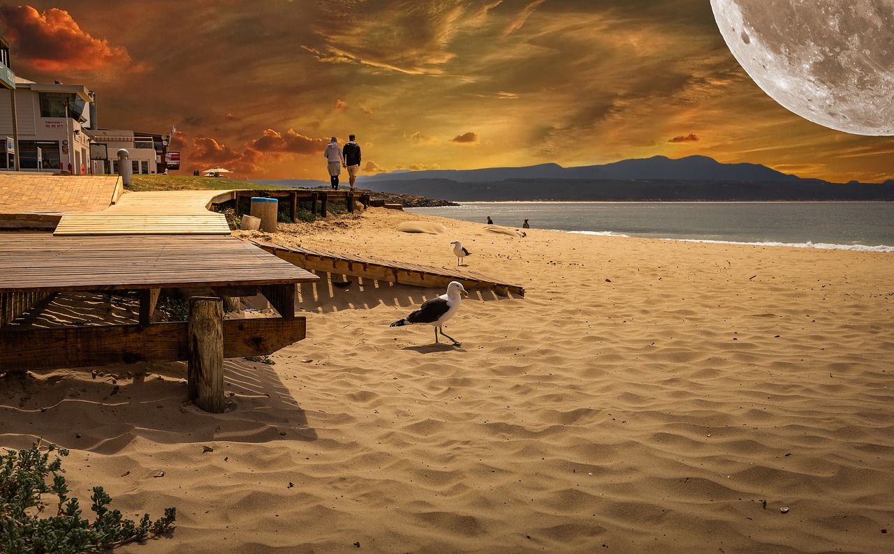 walk on the beach  sunset  couple free photo