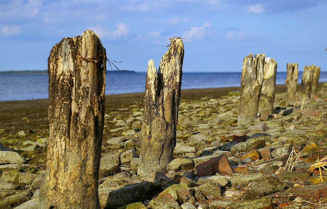 walk on the beach low tide beach free photo