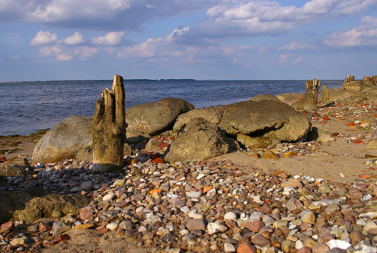 walk on the beach low tide beach free photo