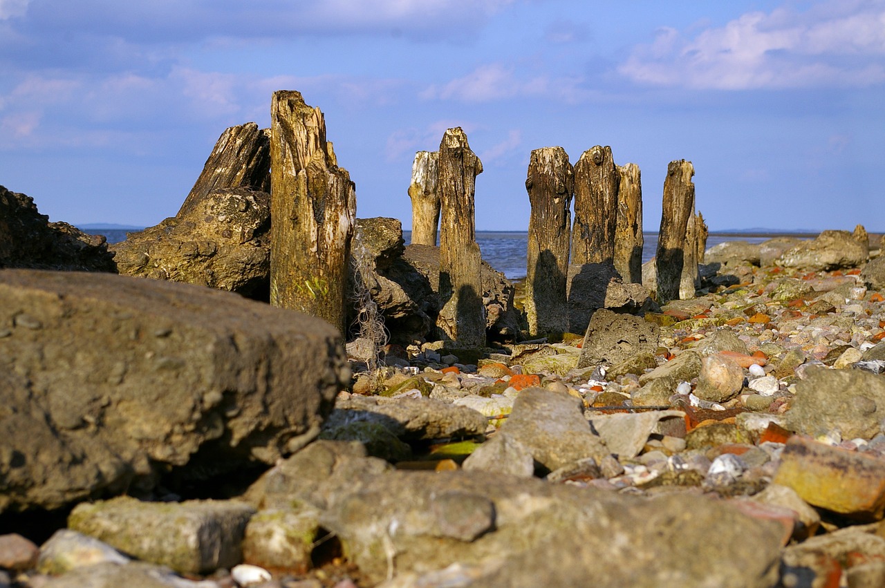 walk on the beach low tide beach free photo