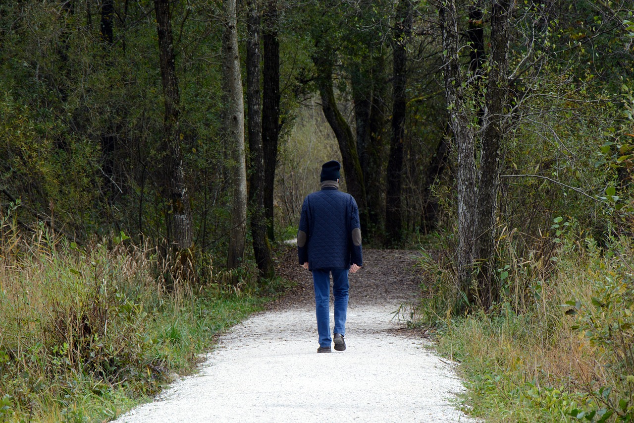 walkers walk forest free photo