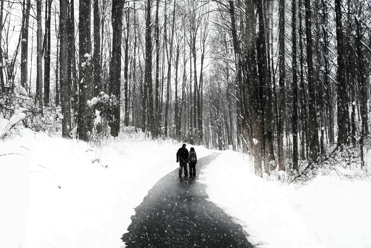 walking couple people walking free photo