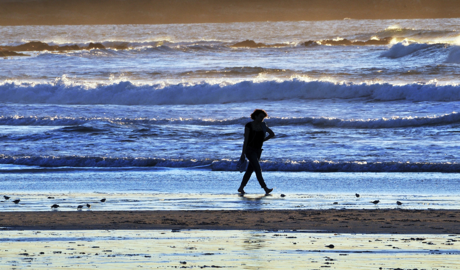 beach sea waves free photo