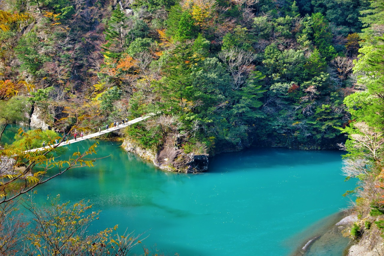 walking bridge bridge water free photo