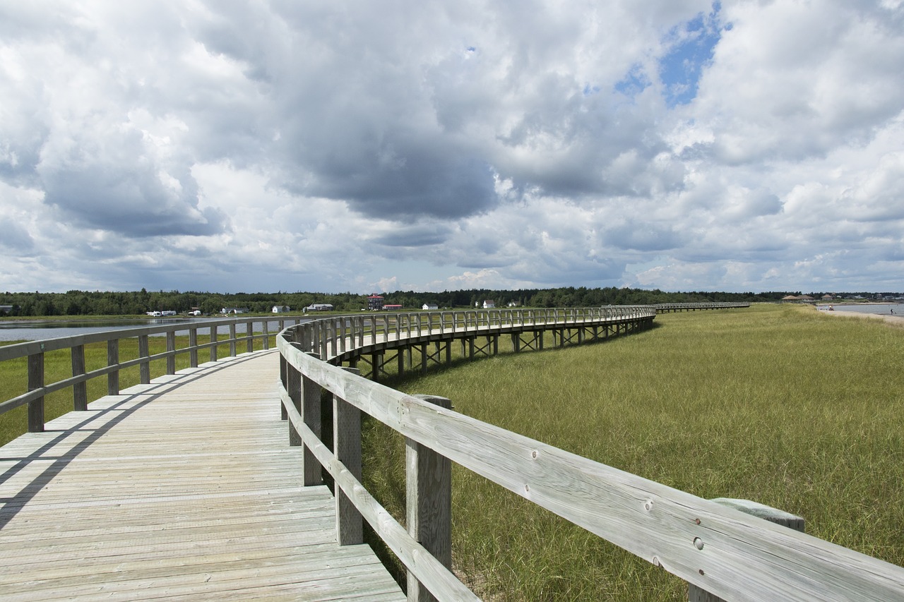 walking bridge new brunswick canada free photo