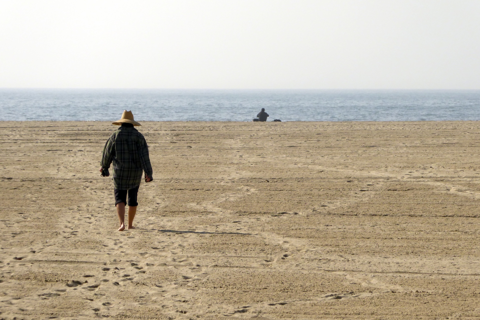 woman walking walking beach free photo