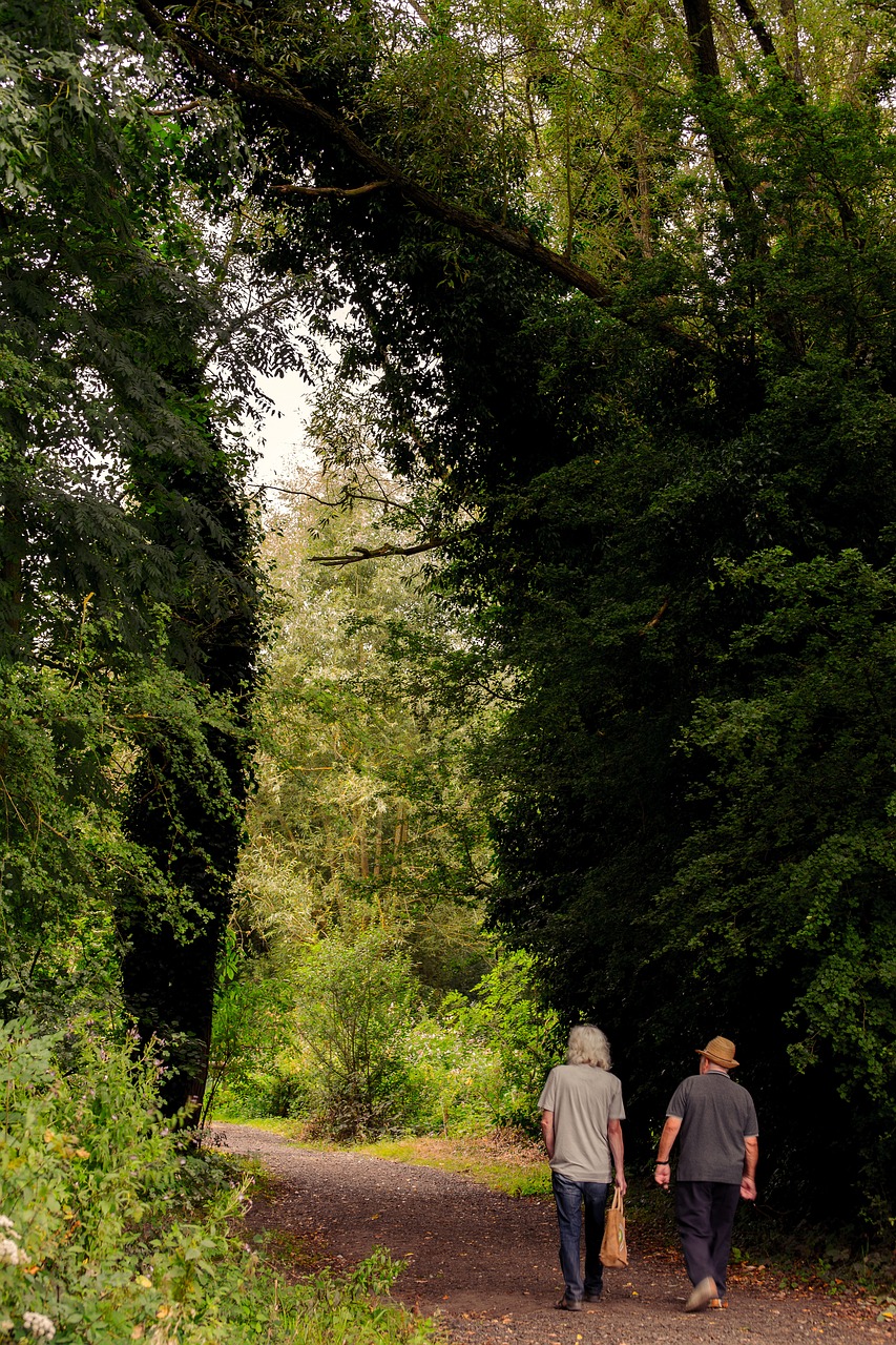 walking people pathway trees free photo