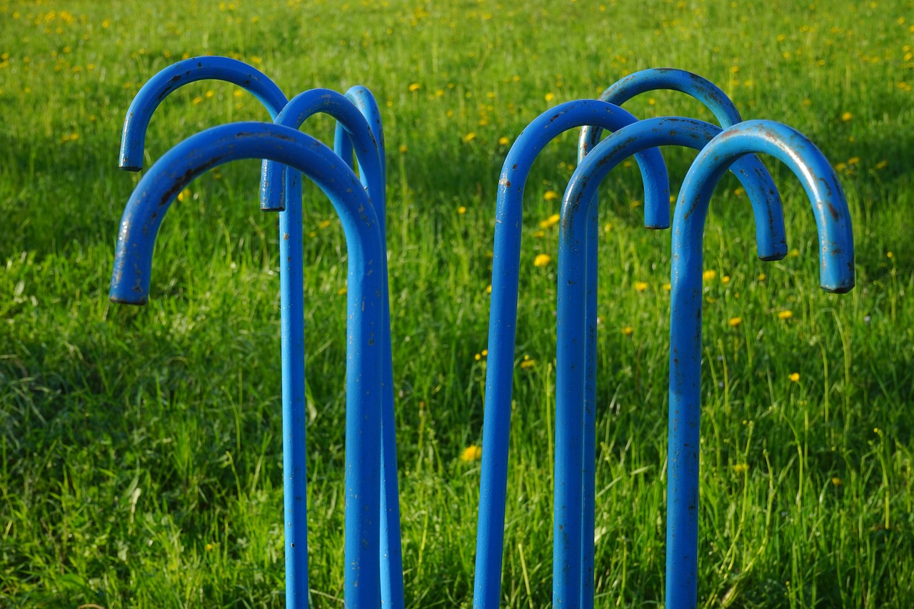 walking sticks blue art free photo