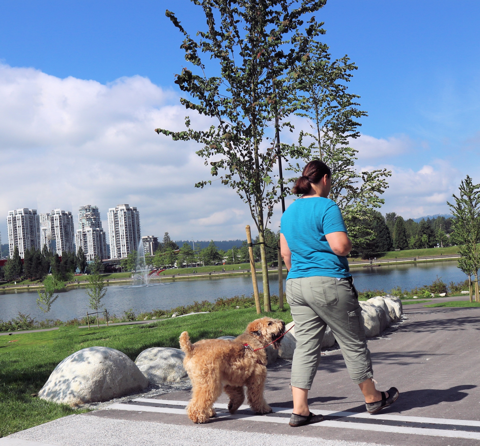 summer sunday walking free photo