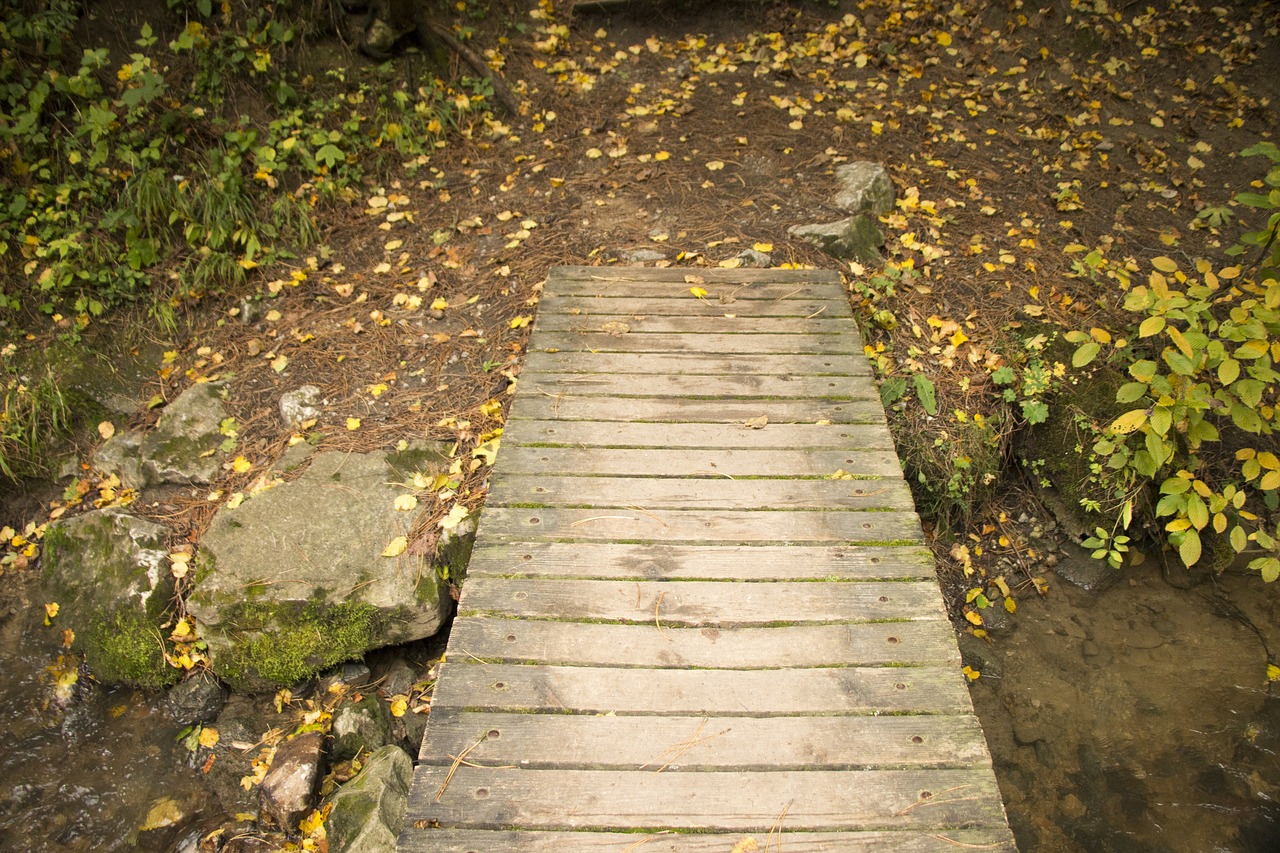 walkway wood nature free photo