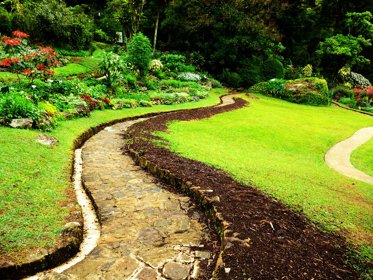 walkway footpath sri lanka free photo