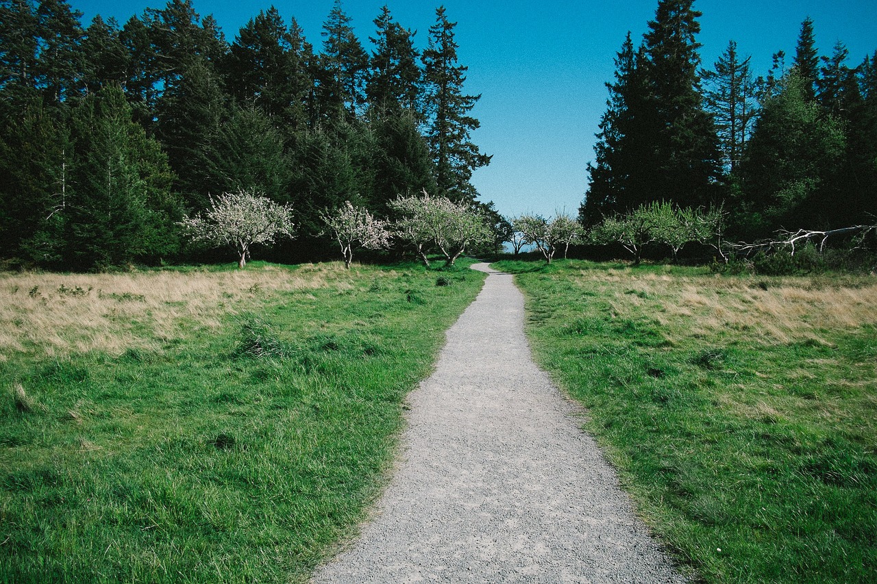 walkway hiking trail trail free photo