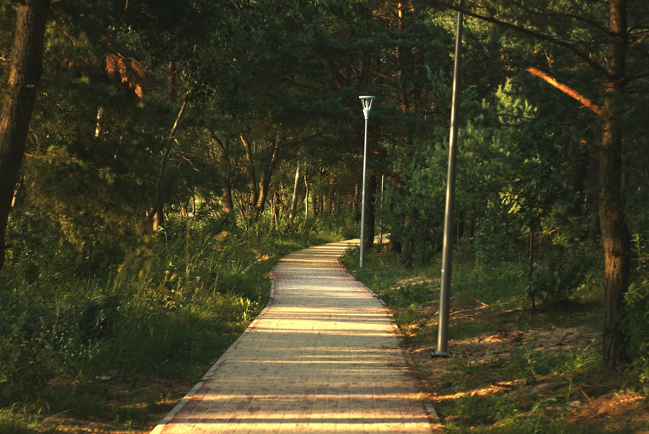 walkway  landscape  city free photo