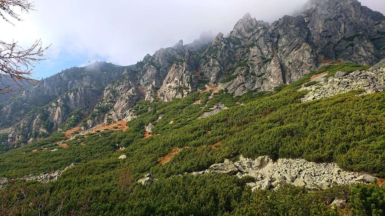 walkway  tatry  mountain free photo