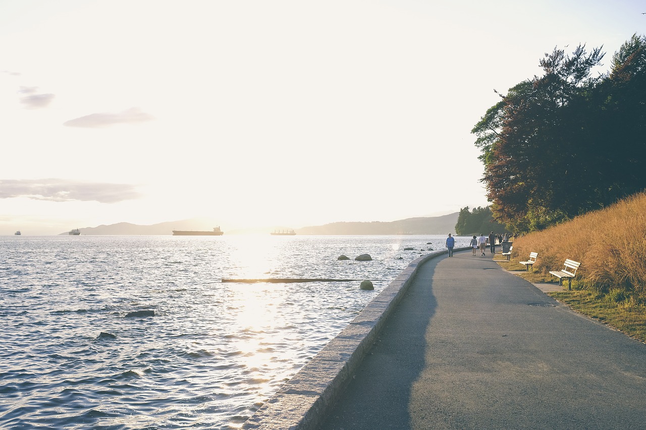 walkway water path free photo