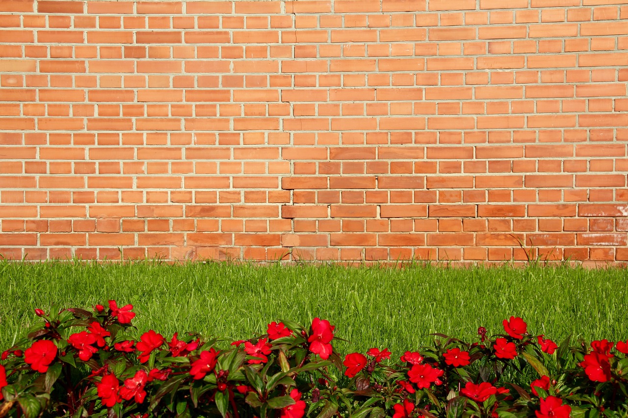 wall red flowers free photo